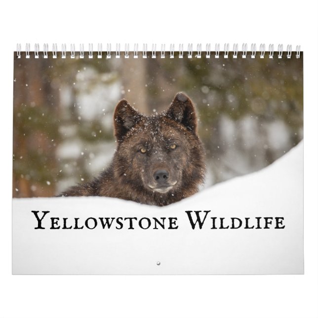 Calendario Vida silvestre de Yellowstone (Tapa)