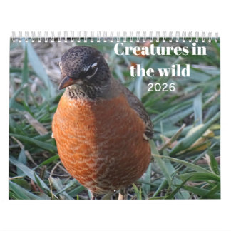 Calendario Vida silvestre e insectos