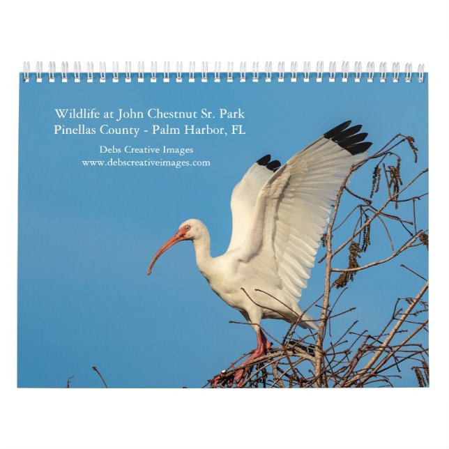Calendario Vida silvestre en el Parque John Chestnut Sr. 2026 (Tapa)