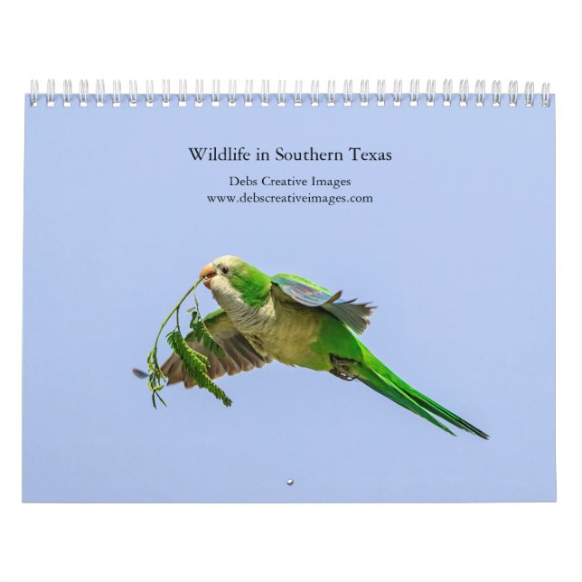 Calendario Vida silvestre en el sur de Texas, 2026 (Tapa)