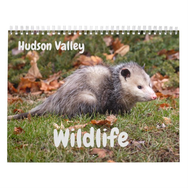 Calendario Vida silvestre en el Valle de Hudson (Tapa)
