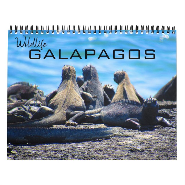 Calendario vida silvestre galapagos 2027 (Tapa)