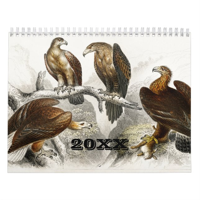 Calendario Vintage Animal Insects Bugs Fish Zoology Kingdom (Tapa)