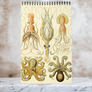 Calendario Vintage Ernst Haeckel, Biología, Botánica, Ciencia