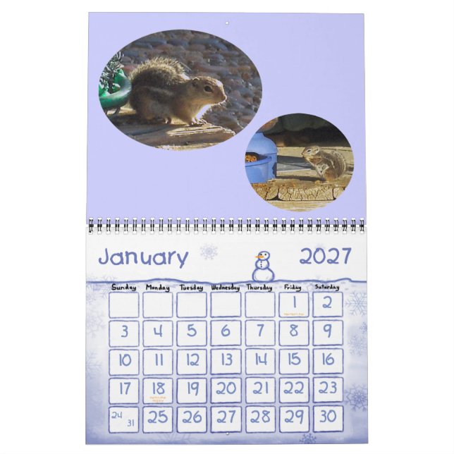 CALENDARIO VISITANTES DE BACKYARD (Jan 2027)