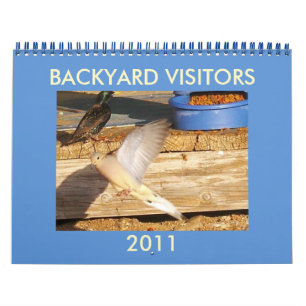 CALENDARIO VISITANTES DE BACKYARD