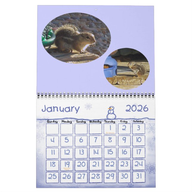 CALENDARIO VISITANTES DE BACKYARD (Jan 2026)