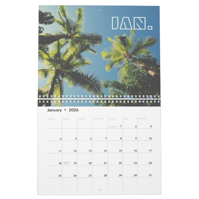 Calendario Vista de verano retro del cielo azul de la palmera (Jan 2026)