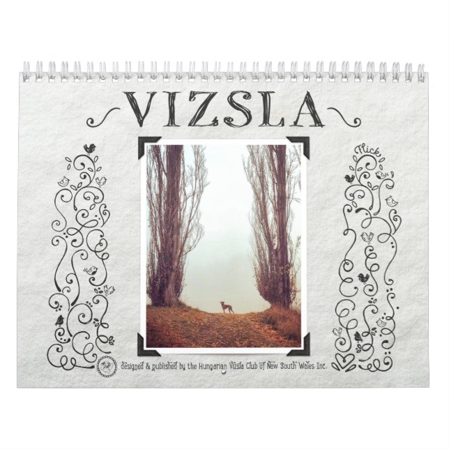 Calendario Vizsual de VizSLA (Tapa)