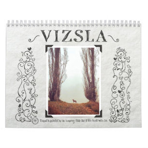 Calendario Vizsual de VizSLA