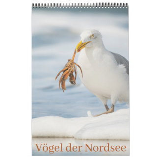 Calendario Vögel der Nordsee Kalender