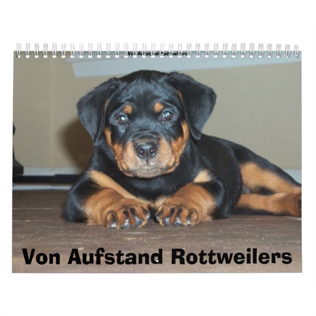 Calendario Von Aufstand Rottweilers (Tapa)