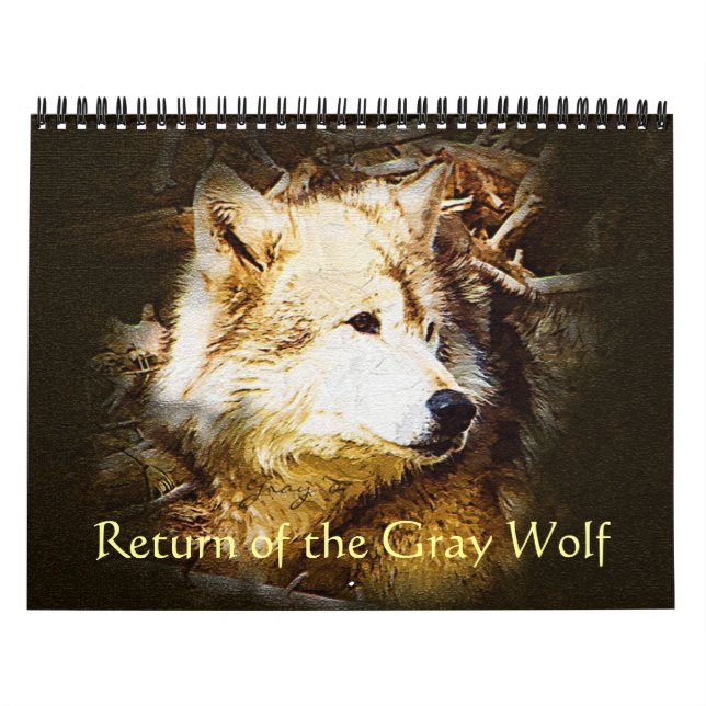 Calendario Vuelta del lobo gris (Tapa)