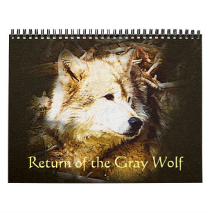 Calendario Vuelta del lobo gris