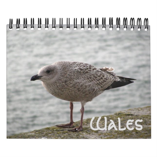 Calendario Wales 2022 Calendar (Tapa)
