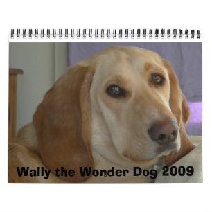 Calendario Wally el perro 2009 de la maravilla
