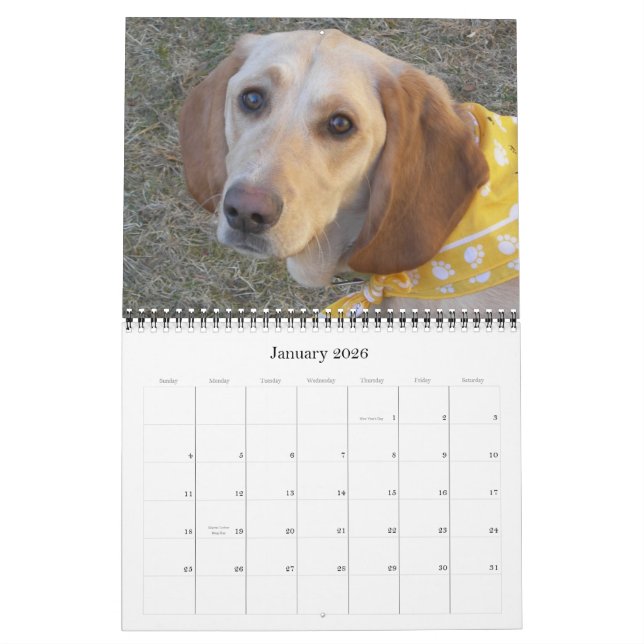 Calendario Wally el perro 2009 de la maravilla (Jan 2026)