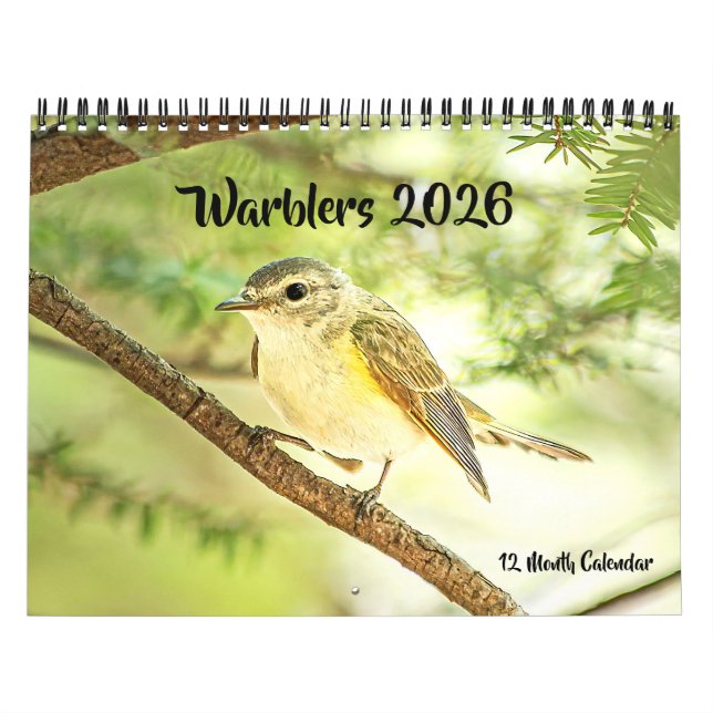 Calendario Warblers 12 Month Wall Calendar 2026 (Tapa)