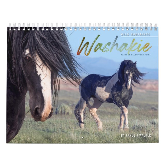 Calendario Washakie de Caballos Salvajes (Tapa)