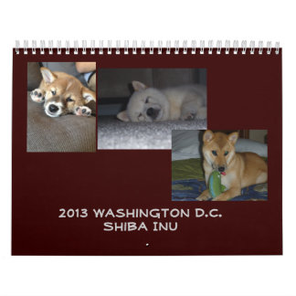 Calendario Washington 2013 D.C. Shiba Inu
