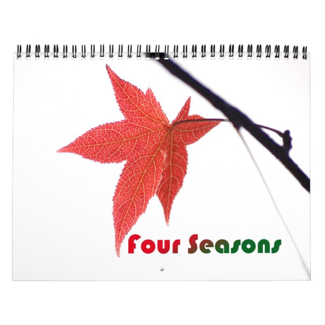 Calendario Washington DC (Tapa)