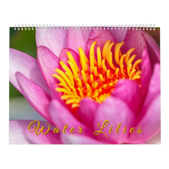 Calendario Water Lilies  (Tapa)
