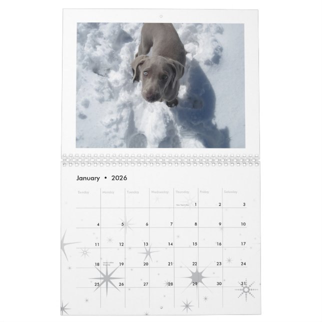 Calendario weimaraner 2012 (Jan 2026)