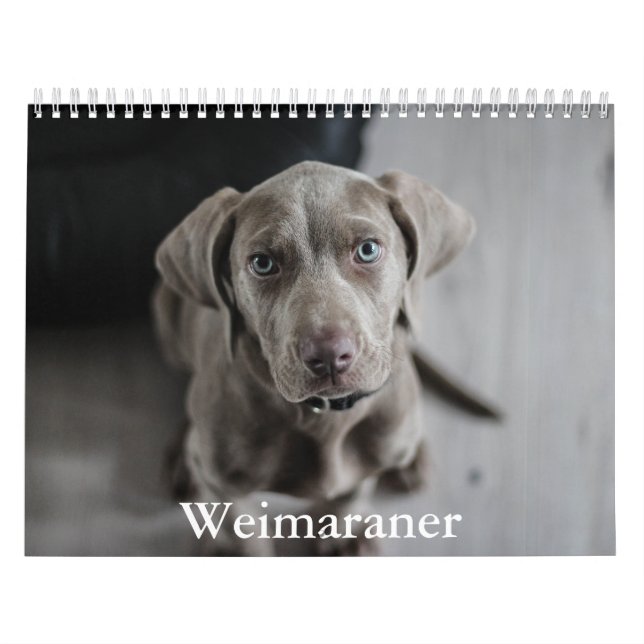 Calendario Weimaraner Calendar (Tapa)