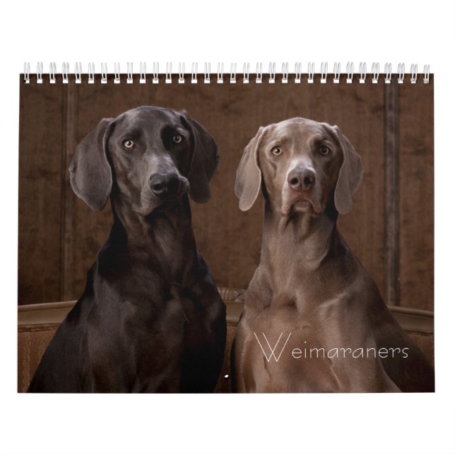 Calendario Weimaraners (Tapa)