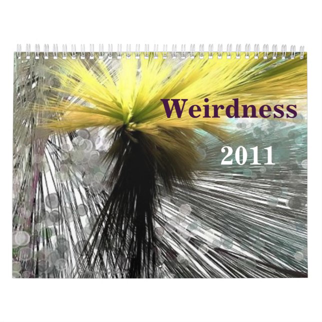 Calendario Weirdness 2011 (Tapa)