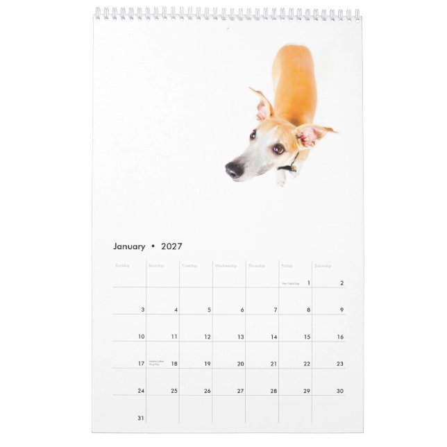 Calendario Whippets en el estudio 2013 (Jan 2027)