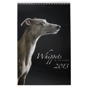 Calendario Whippets en el estudio 2013