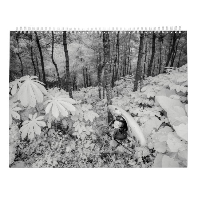 Calendario Whitewater 2016 (Reverso)