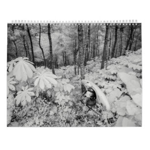 Calendario Whitewater 2016