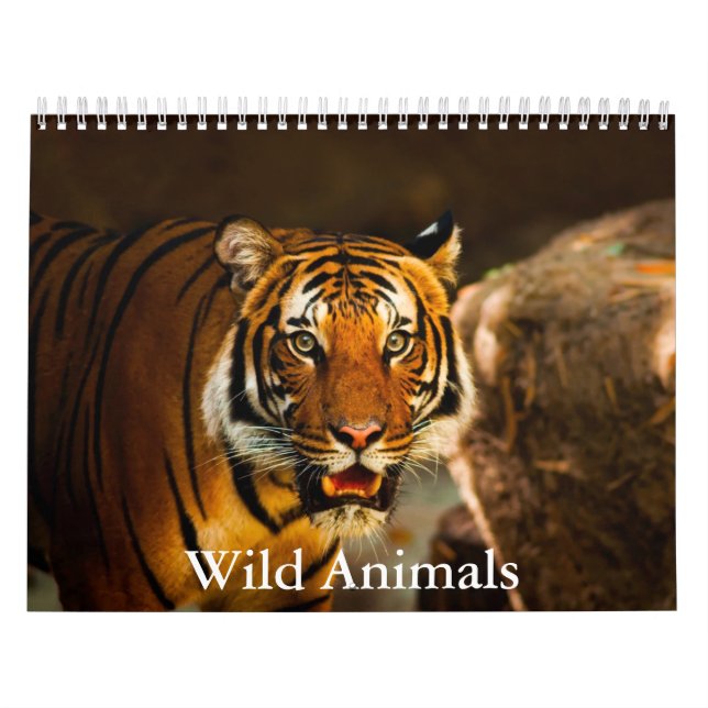 Calendario Wild Animals Calendar (Tapa)