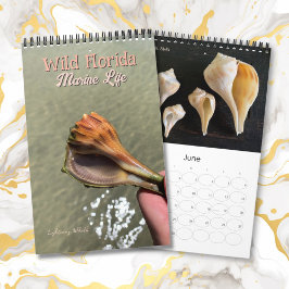 Calendario Wild Florida Marine Snails Hermit Crabs Custom