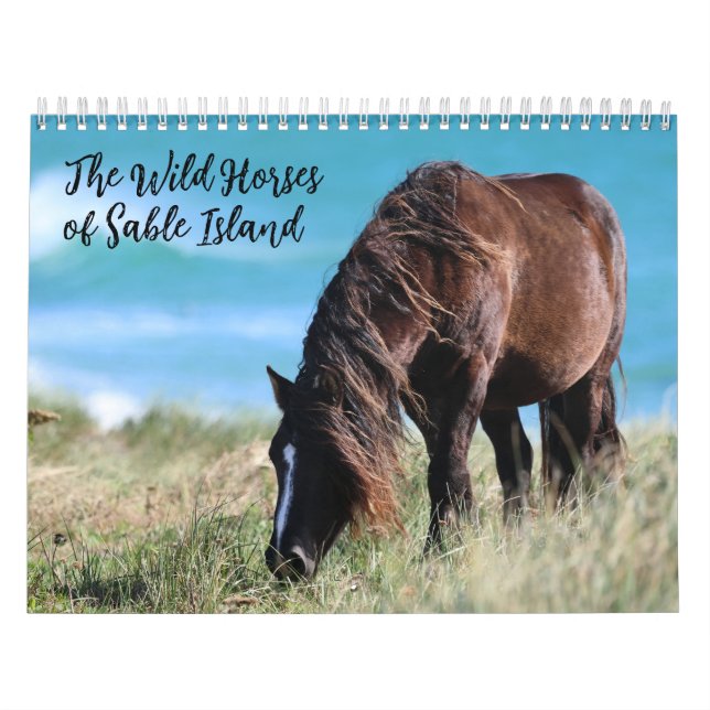 Calendario Wild Horses of Sable Island (Tapa)