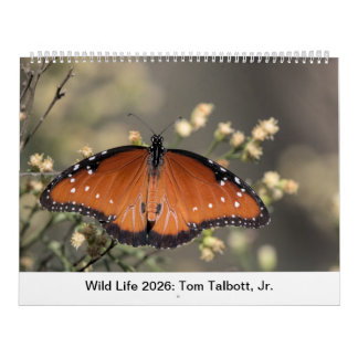 Calendario Wild Life 2026 Calendar