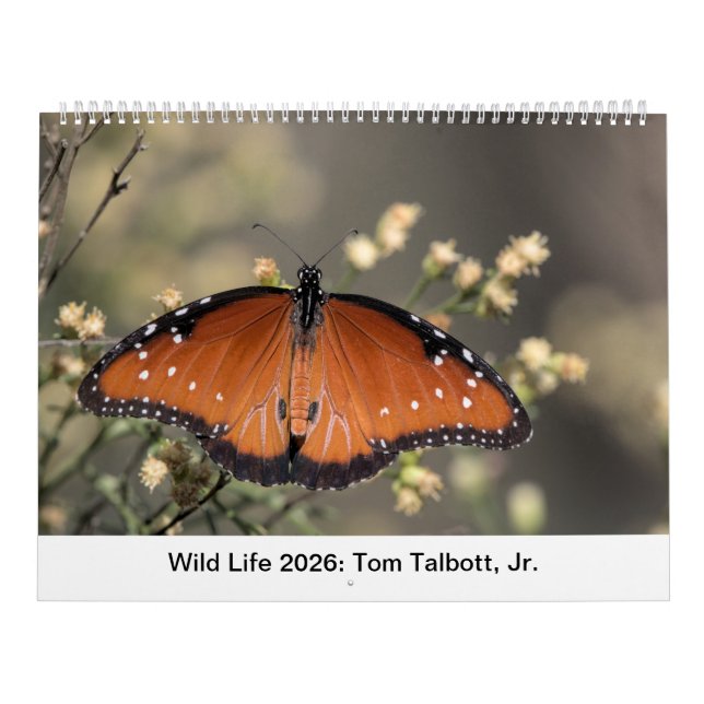 Calendario Wild Life 2026 Calendar (Tapa)