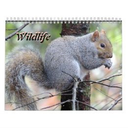 Calendario Wild Life Calendar
