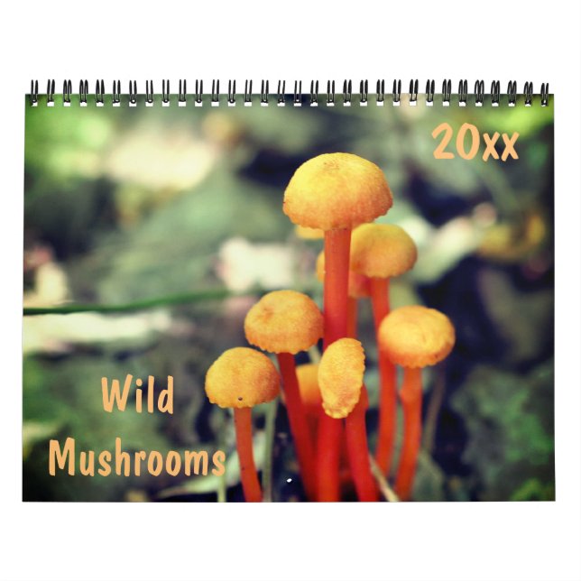 Calendario Wild Mushrooms Photography  (Tapa)