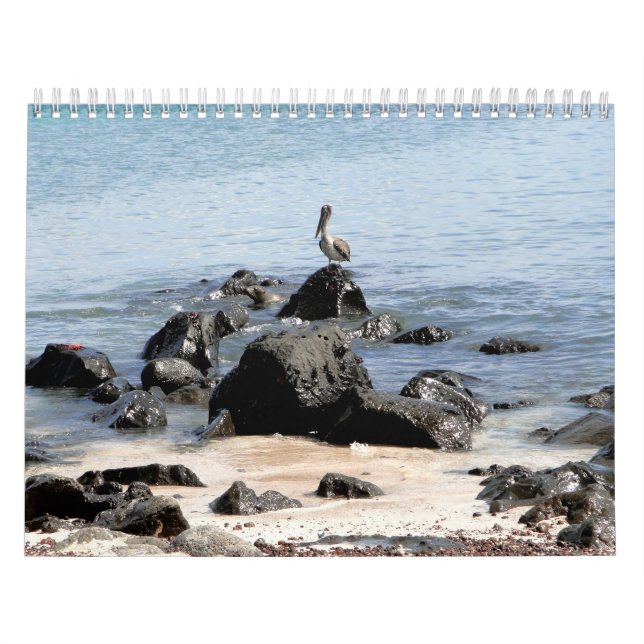 Calendario wild world of the Galapagos (Tapa)