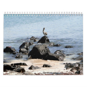 Calendario wild world of the Galapagos