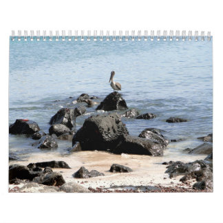 Calendario wild world of the Galapagos