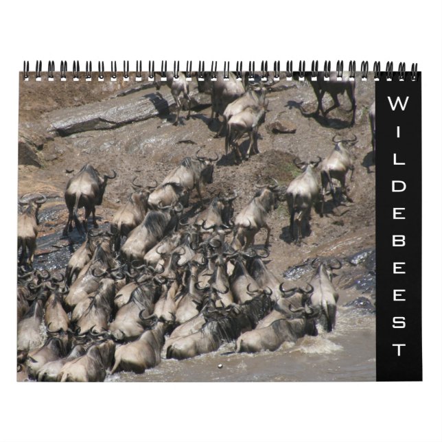 Calendario wildebeest 2026 (Tapa)