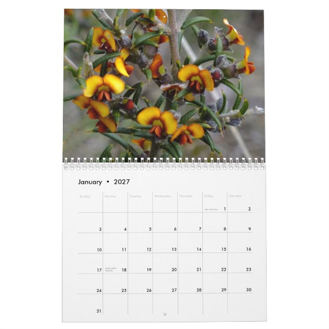 Calendario Wildflowers australianos (Jan 2027)