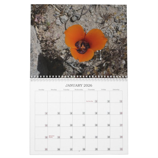 Calendario Wildflowers Calander del desierto (Jan 2026)