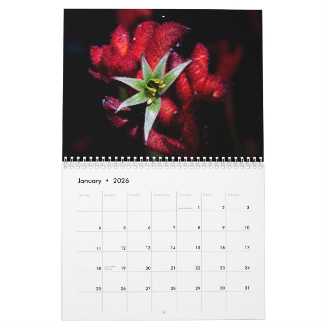 Calendario Wildflowers de Australia (Jan 2026)