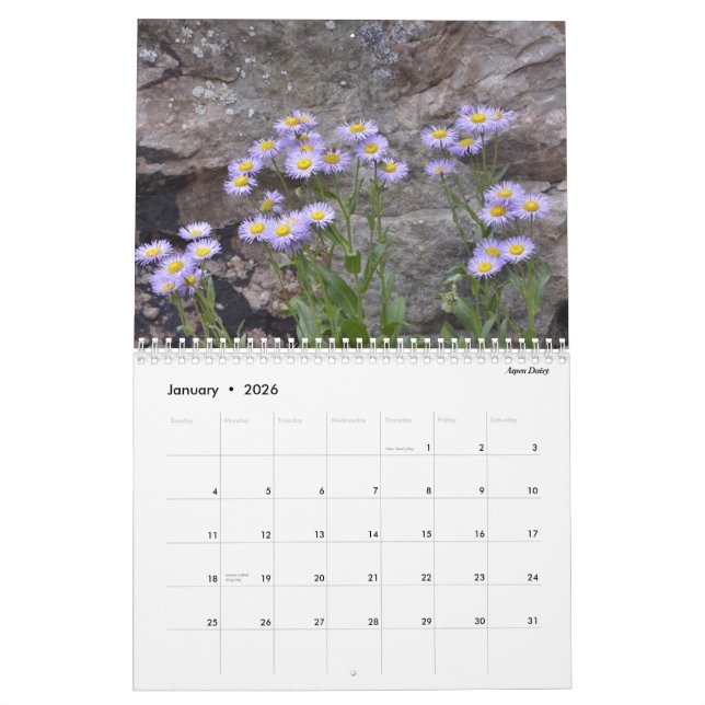 Calendario Wildflowers de Colorado (Jan 2026)
