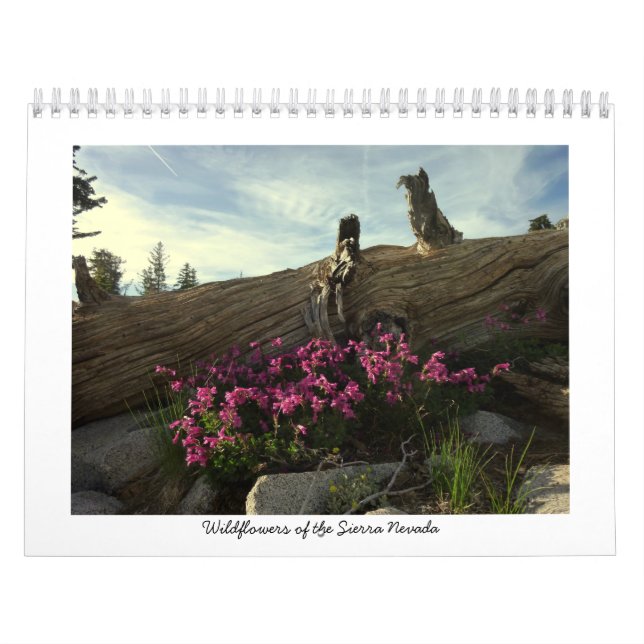 Calendario Wildflowers de Sierra Nevada (Tapa)